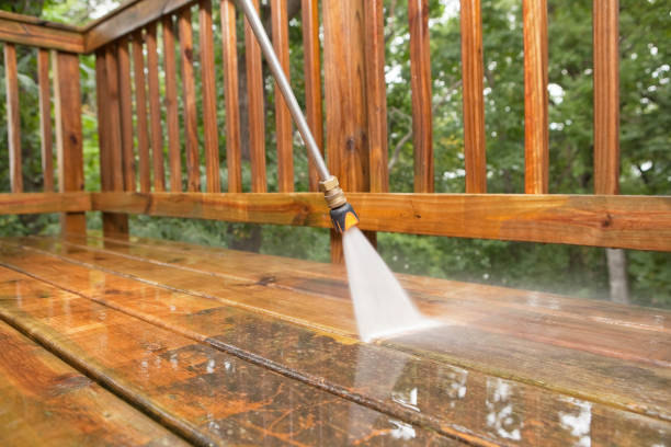 Solar Panel Cleaning in Richmond West, FL